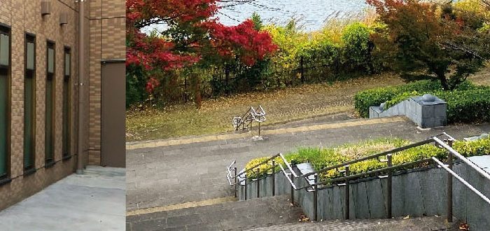 江東区の地域イベント会場となる公園