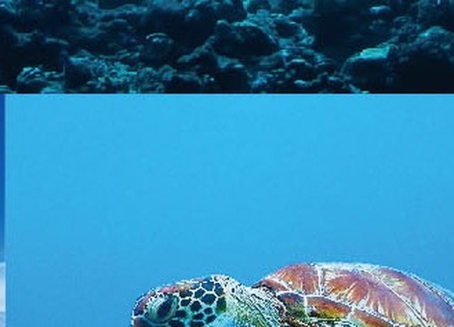 継承のご負担が気になる方へ